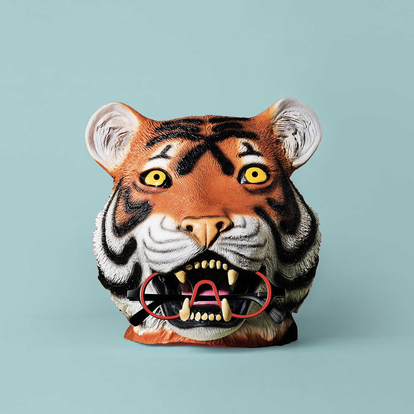 Ottovolante RD Lettura & Schermo